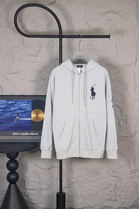 Picture of Ralph Lauren Hoodies _SKURalphLaurenS-XLxetr445393